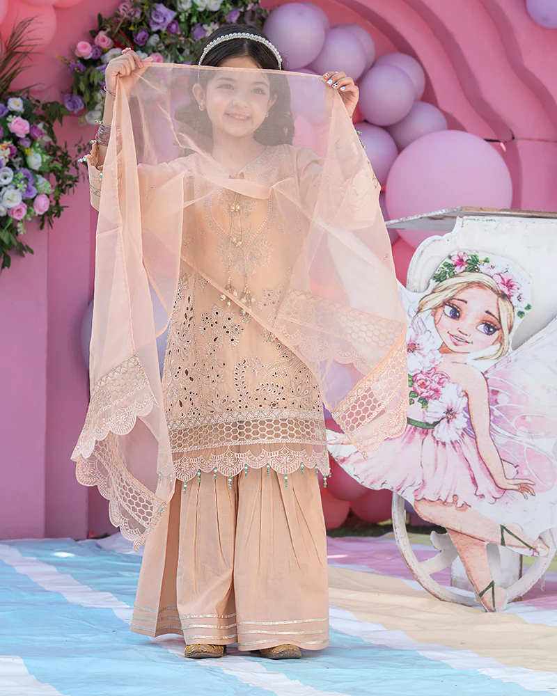 AL-1013 - Image 3