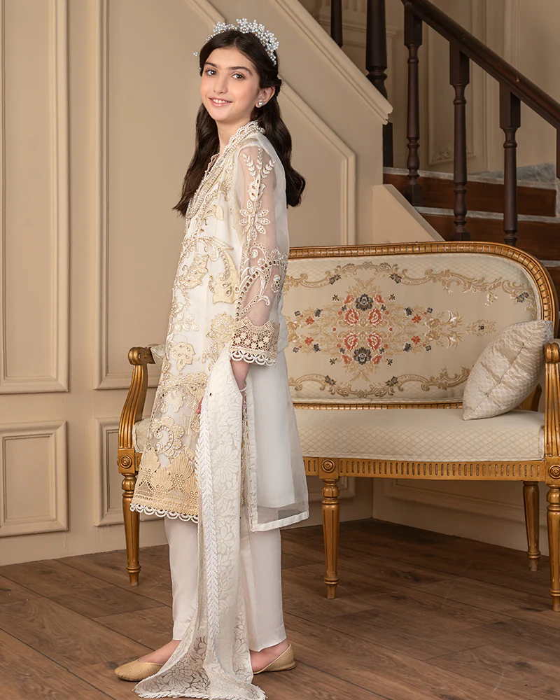 AL-1065-B - Image 3