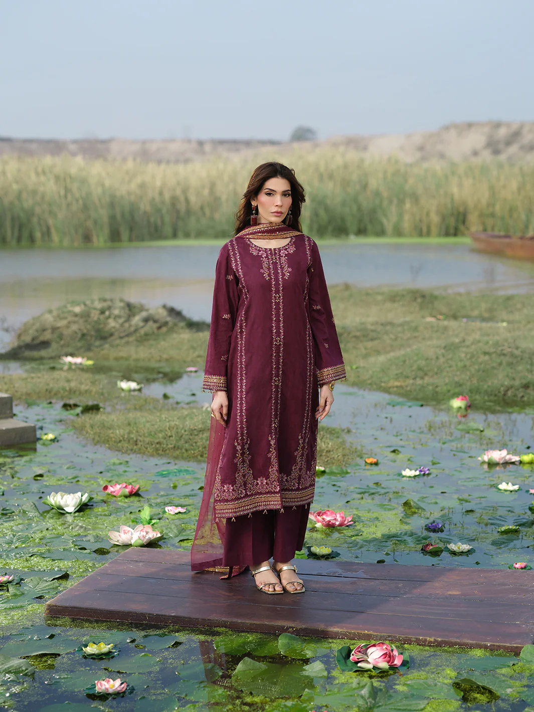 AL-1168 BRINJAL - Image 5