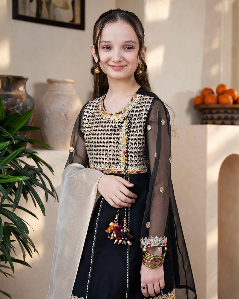 AL-4070 - Image 4