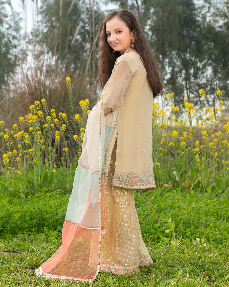 AL-4173 - Image 2