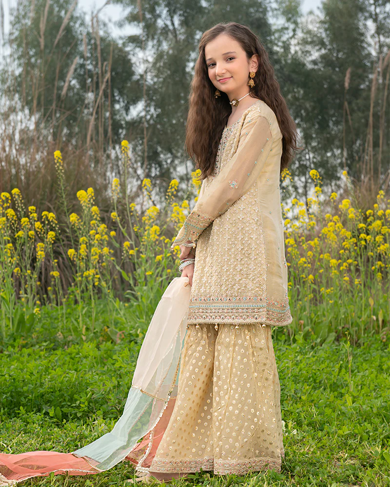 AL-4173 - Image 4