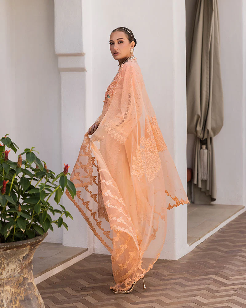 AL-923 - Image 5