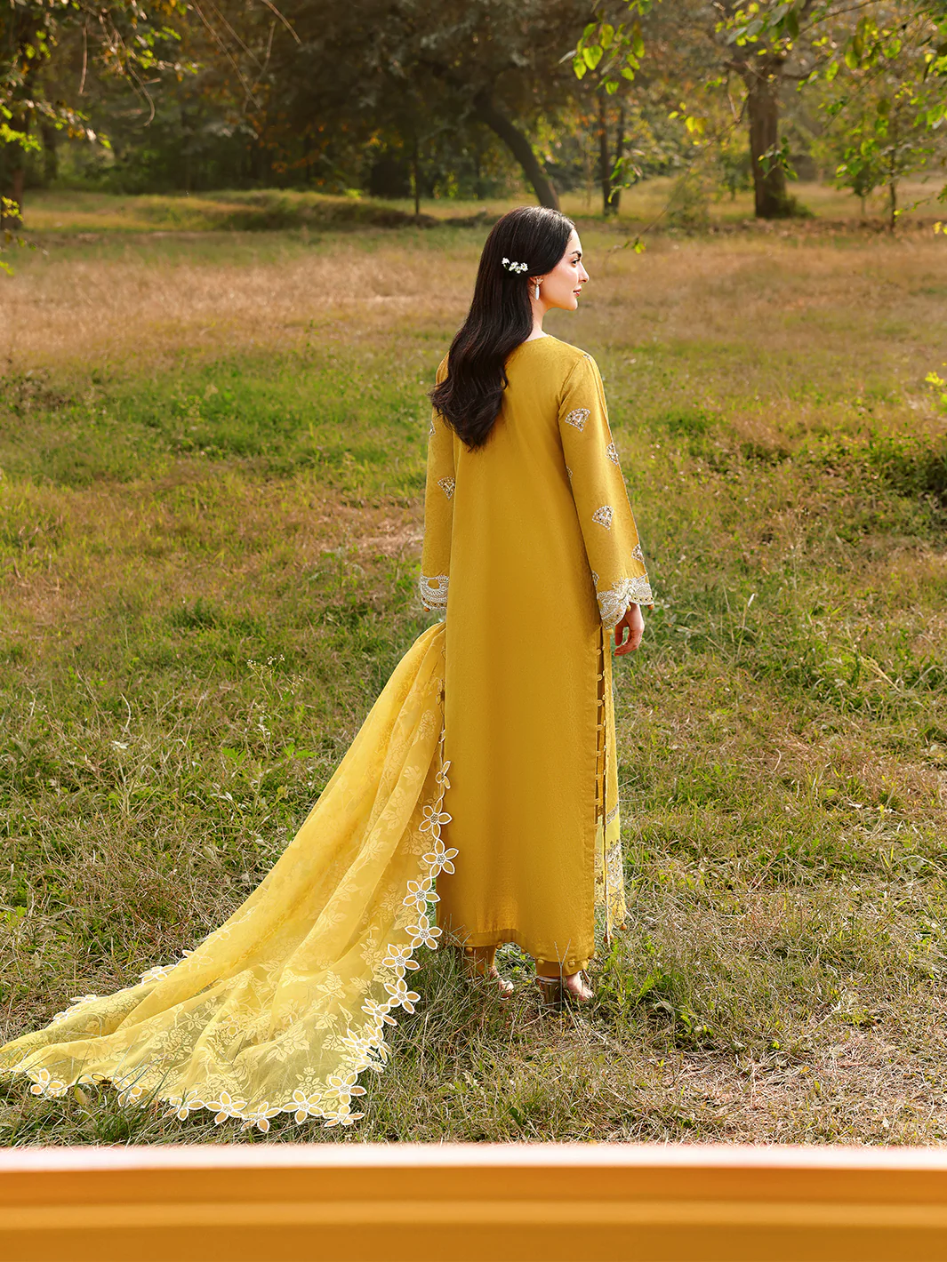 SAFFRON - Image 3
