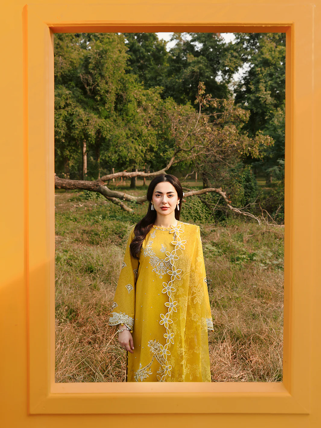 SAFFRON - Image 5