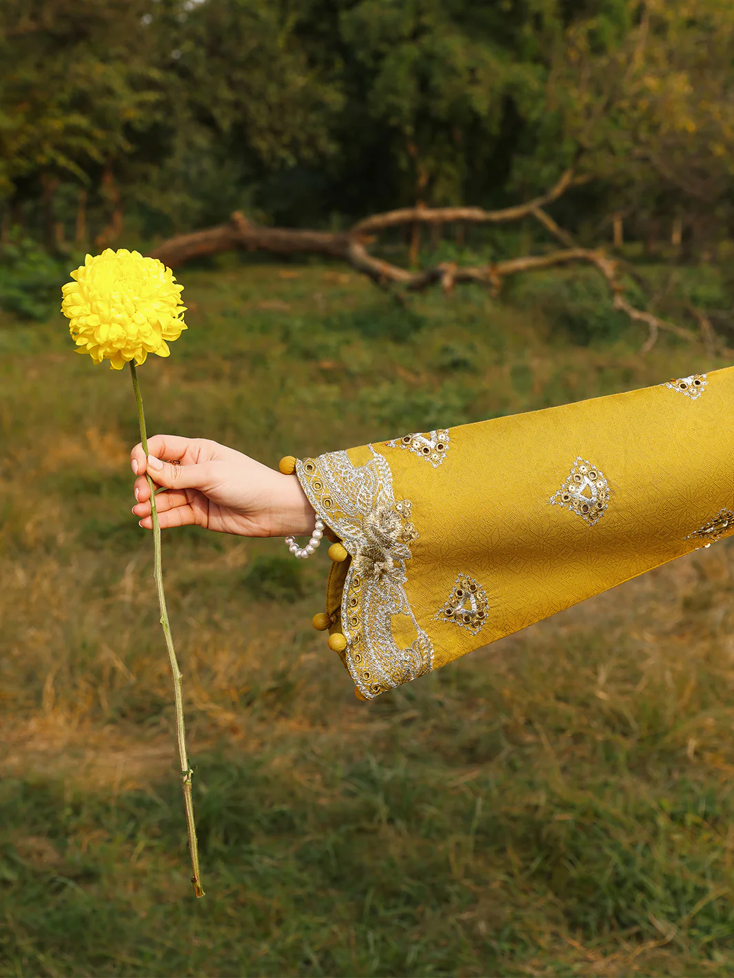 SAFFRON - Image 6