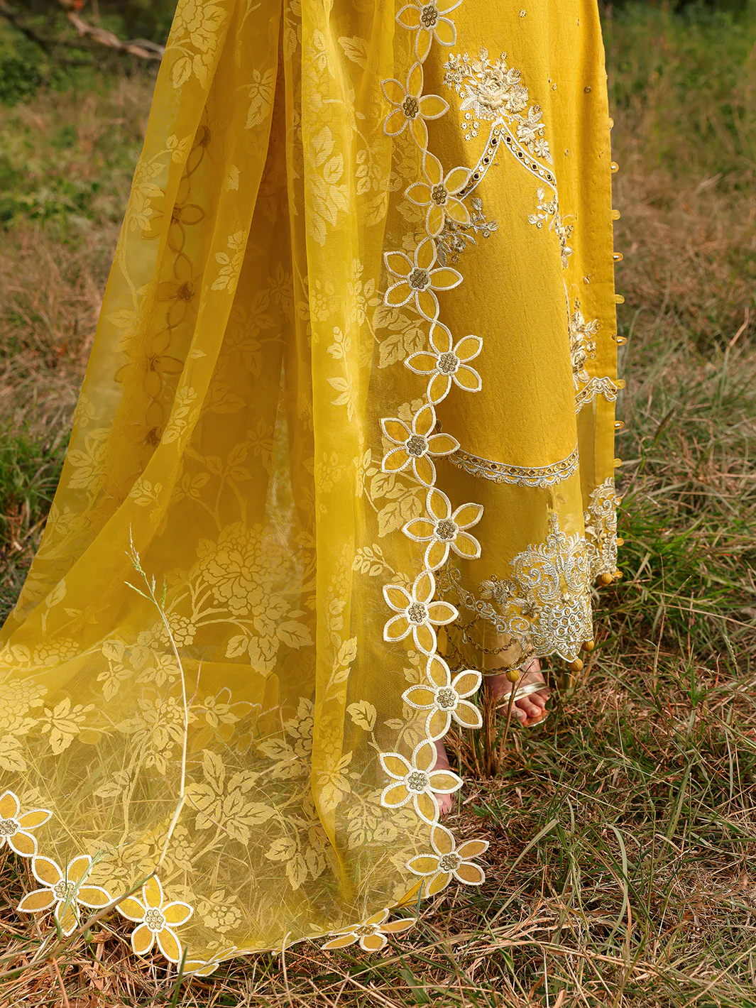 SAFFRON - Image 9